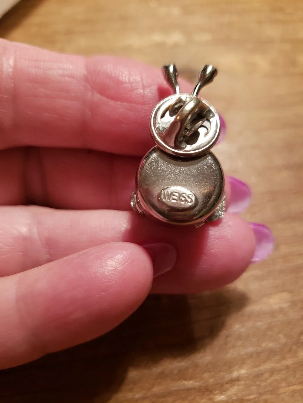 Vintage Silver-tone Weiss Insect Tac Pin With Orchid Sets